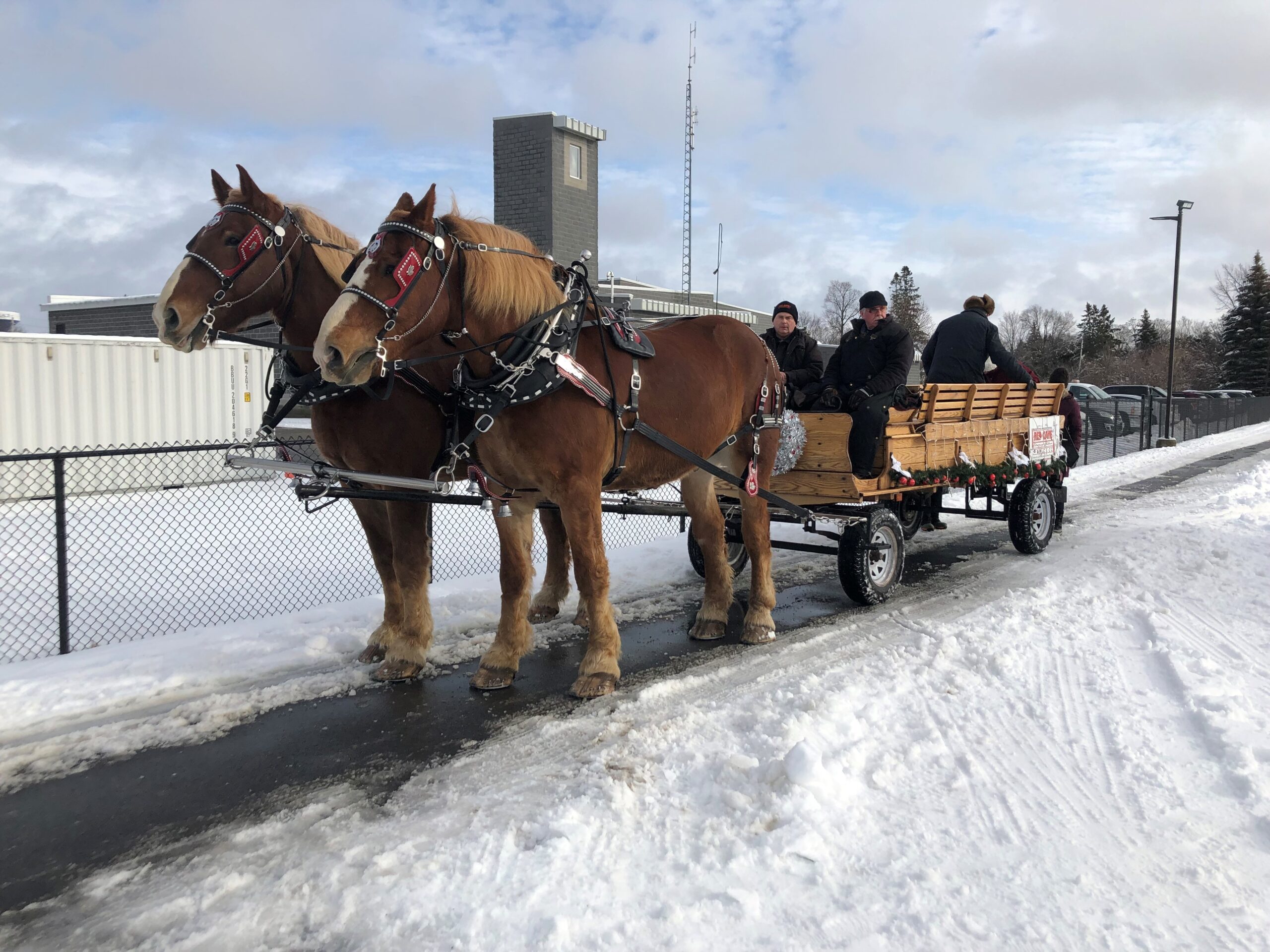 two horses pulling a carriage, snowy landscape