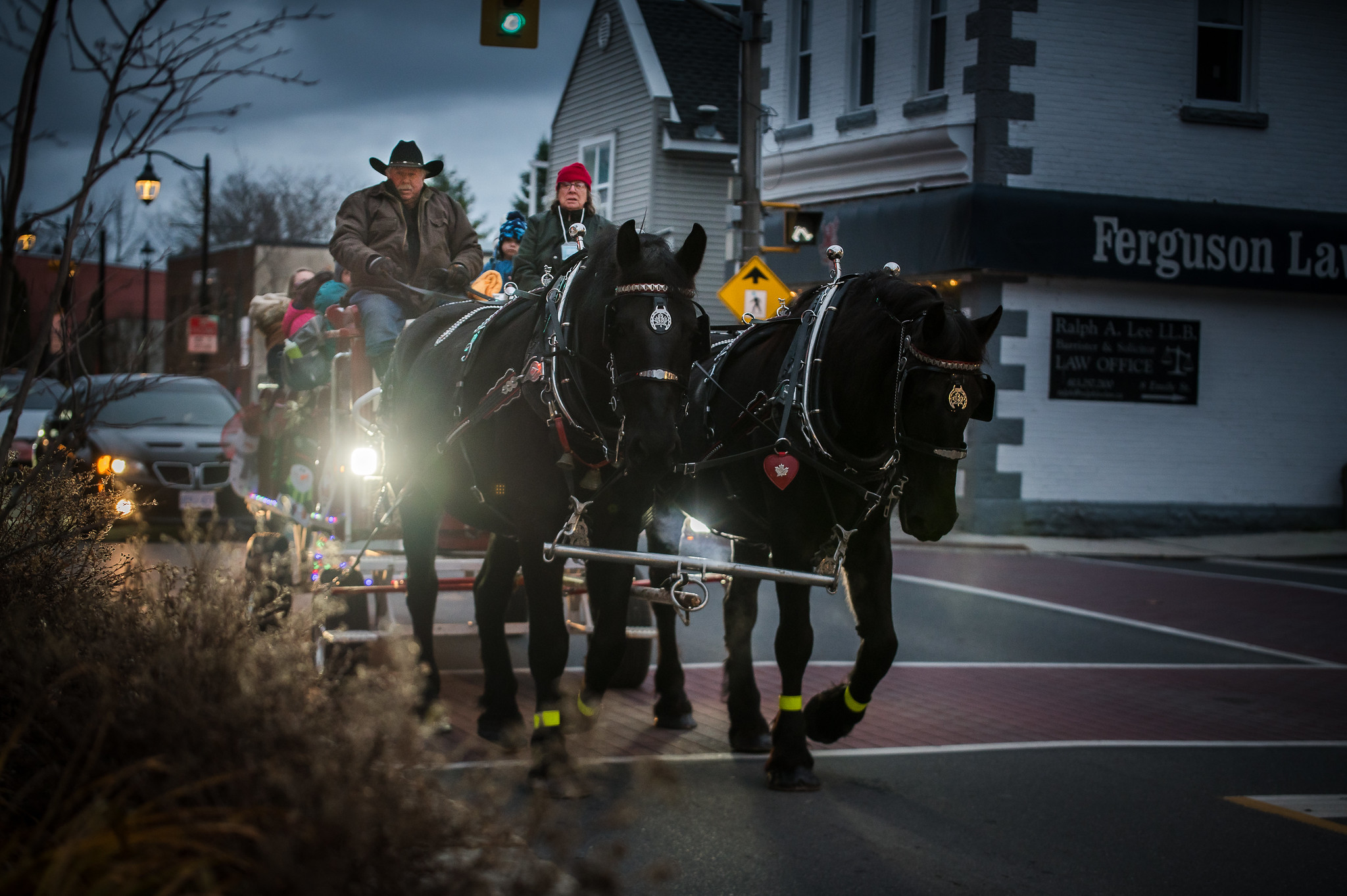 a horse drawn carriage on main street